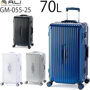 ye험pŃ|Cgő27{Iz AWAQ[W AWAEQ[W GRANMAX O}bNX 70L t[^Cv X[cP[X MTCY 5`7p וaꖳK e LX^[