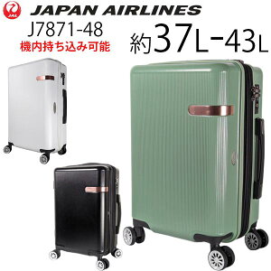 ye험pŃ|Cgő27{Iz JAL W ߊۃS g^Cv (37L`43L) t@Xi[^Cv X[cP[X STCY J7871-48 GLXp_u {q JAPAN AIRLINES @݉\ ( ^