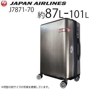 ye험pŃ|Cgő27{Iz JAL W ߊۃS g^Cv (87L`101L) t@Xi[^Cv X[cP[X LTCY J7871-70 `^jE GLXp_u {q JAPAN AIRLINES וa