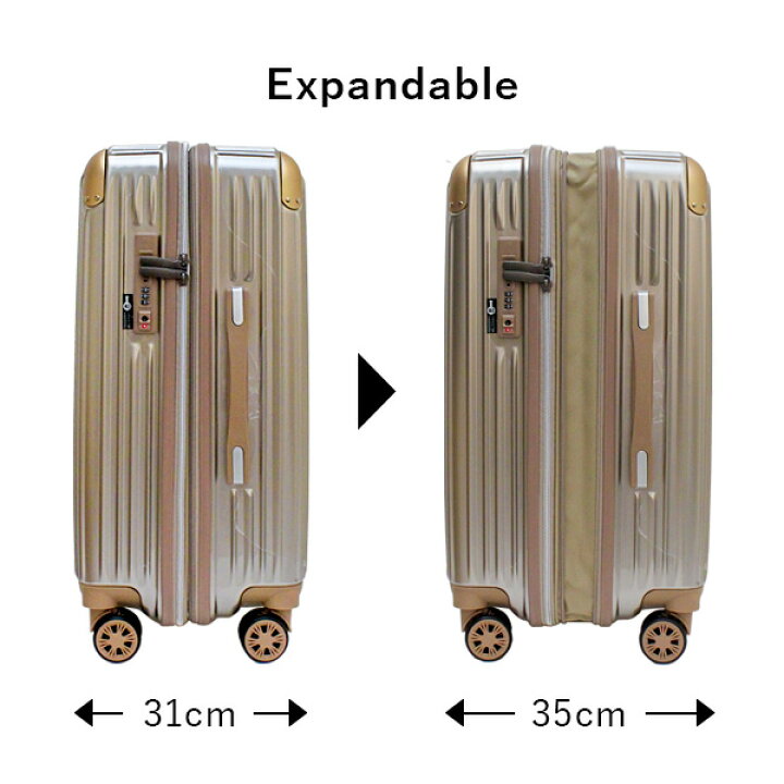 楽天市場】【各種利用でポイント最大26倍！】 【SALE】 シフレ siffler  