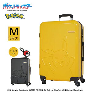 yGg[Ń|Cg19{ő48{z SKYL POKEMON X[cP[X L[ XJC |P 62L MTCY 5`6p t@Xi[^Cv |PbgX^[ sJ`E LN^[ q 