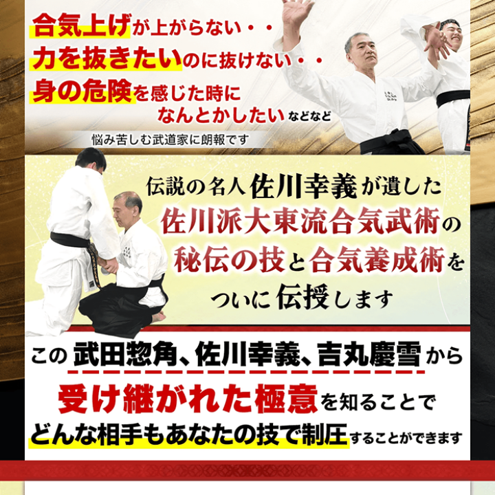 【絶版/稀少本】透明な力　大東流合気術　佐川幸義 大東流合気武術 佐川幸義 神業の合気 力を超える奇跡の技法“合気