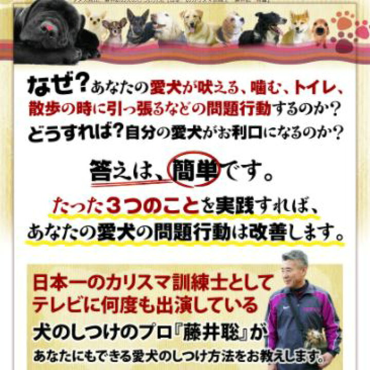 楽天市場】ダメ犬脱出、藤井聡の犬のしつけ方法DVD【日本一のカリスマ 
