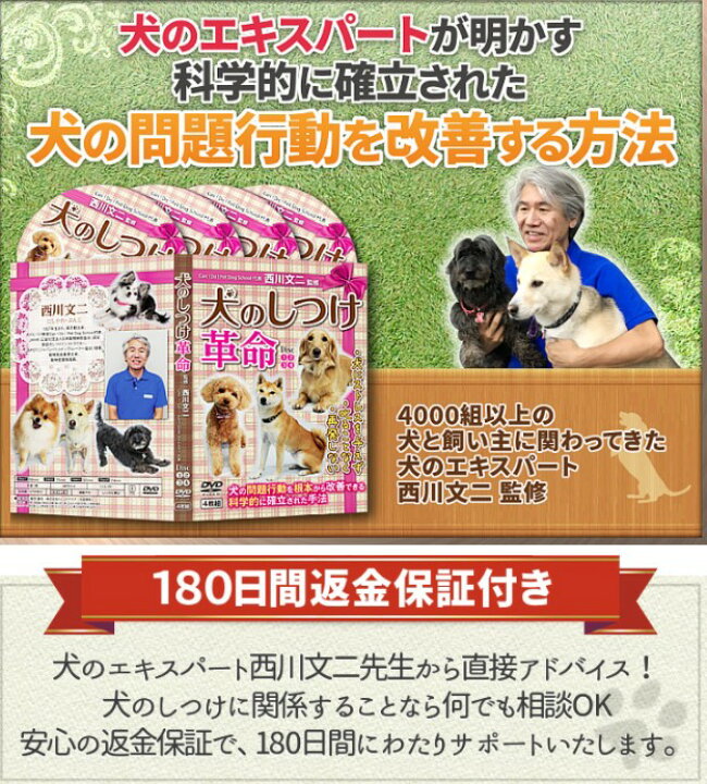 楽天市場 犬のしつけ革命 科学的に確立された犬の問題行動を改善する方法 Dvd 犬のエキスパート 西川文二 指導 首輪 しつけ用 犬服 冬 1000円ポッキリ Dogchoice セール 送料無料 ダウン 暖かい ベッド ハーネス いぬ サークル 犬 あったか ベッド アウター グレイン