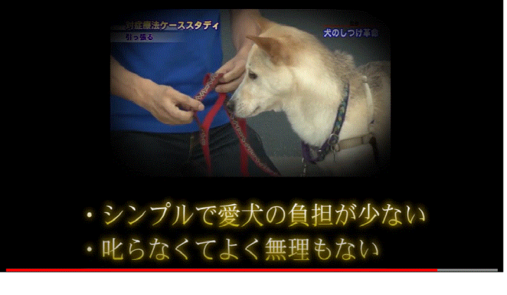 楽天市場】犬のしつけ革命～科学的に確立された犬の問題行動を
