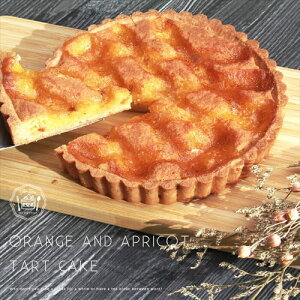 ^gP[L z[P[L P[L IW ^g  񂸃^g  t[c^g IWƂ񂸂̃^gP[L t[c َq XC[c fU[g Ԃ v[g Mtg