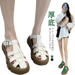  t X|[cT_  OJX|T T_ C V[Y bV fB[X OJ ₷ Xj[J[ XgbvT_ V[Y Chxg {[\[