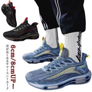 Z V[NbgXj[J[ wȂC Z T}[Xj[J[ jbgXj[J[ 6cm/8cmUPI  V[NbgXj[J[ hL w Y 6cm/8cmgAbv y ʋC V[N