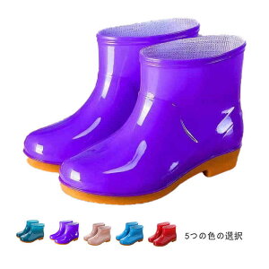 JC fB[X JC CV[Y ʋ CV[Y V[g V[gu[c h Cu[c ~ h ~J΍ ~   Cu[c AEghA ʊw J