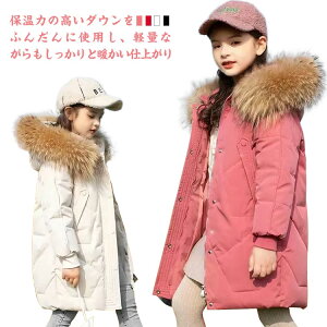 _ER[g O LbY O_E _E OR[g t[ht nClbN y  h ۉ g ؍ q ̎q j̎q H ~ AE^[ 㒅 ʊw ʉ _EWP