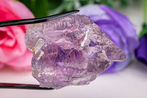 Gb`hAWXg ACXAWXg 30.8g ACXNX^ gCS[jbN AWXg AVXg