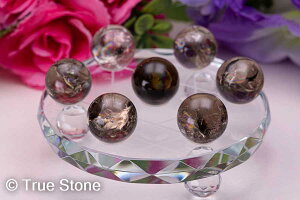 ACXX[L[NH[c ۋ w ACX wLTS Z䊐 낭ڂ XtBA