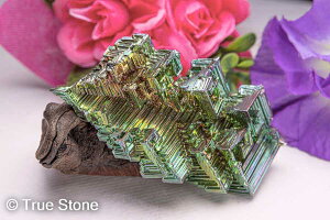 rX}X  Vւ̊Ki F̊Ki 164g Fv 