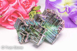 rX}X  Vւ̊Ki F̊Ki 207g Fv 