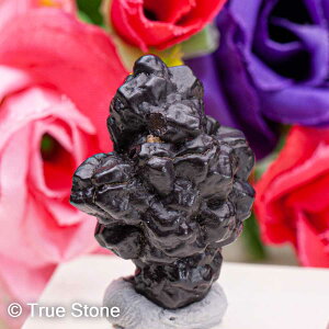 vtFV[Xg[ \ \̐ 24g Tn ґz OEfBO AXeCh f