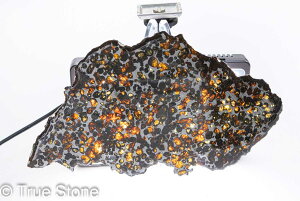 pTCg覐  XCX 239.9g ΓS覐 覐 yhbg pTCg  ӕʏ Ӓ菊