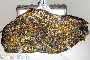 pTCg覐  XCX 320g ΓS覐 覐 yhbg pTCg  ӕʏ Ӓ菊