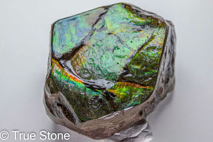 楽天市場】鑑別書付き 希少 AAA アンモライト 原石 608g ドラゴン  