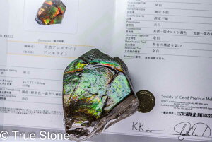 ӕʏt  AAA ACg  608g hSXL 7200NO Ji_ Ao[^B AiCg 