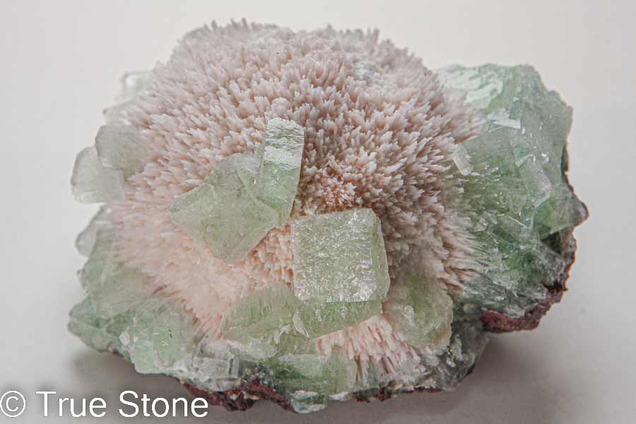 希少色 グリーンアポフィライト モルデナイト クラスター 429g モルデン沸石 魚眼石 束沸石 スティルバイト アポフィライト | True  Stone