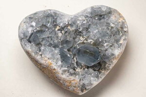 ZX^Cg V VE  437g n[gVFCv Vg WI[h  h[ p[Xg[ VR