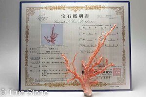 ӕʏt AJ ~bhEF[  ԎX [CX  [CK[l [CK[lbg R[ X