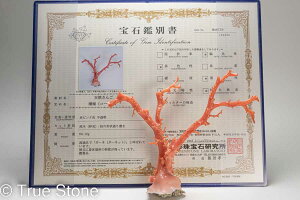 ӕʏt AJ ~bhEF[  ԎX [CX  [CK[l [CK[lbg R[ X