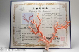 ӕʏt AJ ~bhEF[  ԎX [CX  [CK[l [CK[lbg R[ X