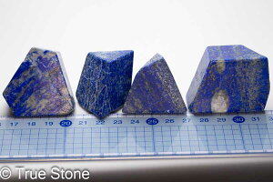 _ VR sXY  YCg FEFEnB̖ؖ{  y[p[EFCg