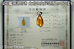 ӕʏt oeBbNAo[  5C y_ggbv Ao[ 7.03g gAjAY  RnN V[Ao[ C