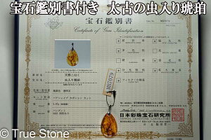 ӕʏt oeBbNAo[  y_ggbv Ao[ 3.67g gAjAY  RnN V[Ao[ C