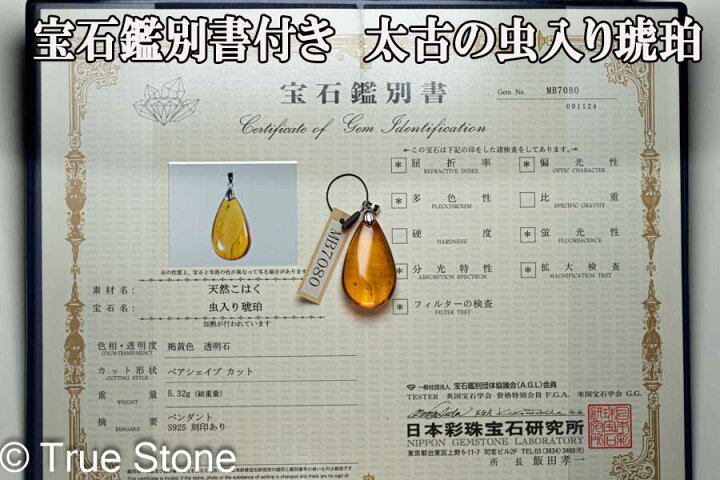 楽天市場】鑑別書付き バルティックアンバー 虫入り琥珀 ペンダント 