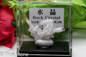 Yz g NX^[ 啪Ls zR B  gsb`FNH[c