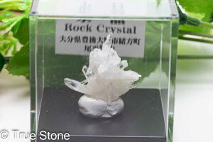 Yz g NX^[ 啪Ls zR B  gsb`FNH[c