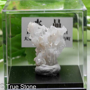 Yz g NX^[ 啪Ls zR B  gsb`FNH[c