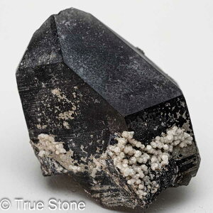 VRI  I ubNNX^ ubNNH[c NX^[ VR   p[Xg[