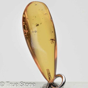 Â̒ oeBbNAo[ y_ggbv ͂  Ao[ gAjAY  RnN V[Ao[ C͂ 