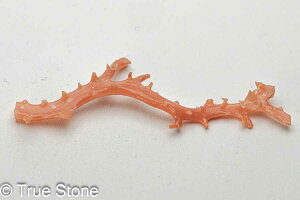 AJ ~bhEF[  ԎX [CX  [CK[l [CK[lbg R[ X