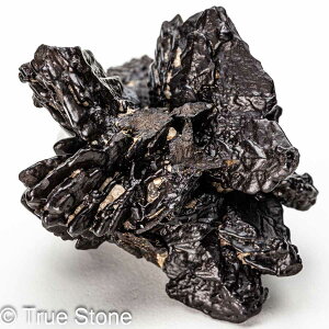 vtFV[Xg[ \ \̐ Tn ґz OEfBO AXeCh f