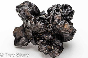 vtFV[Xg[ \ \̐ Tn ґz OEfBO AXeCh f