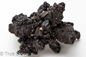 vtFV[Xg[ \ \̐ Tn ґz OEfBO AXeCh f