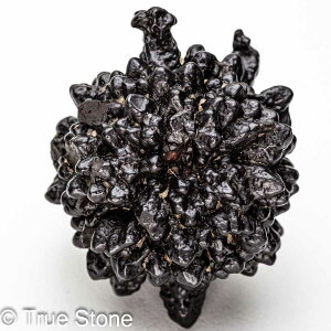 vtFV[Xg[ \ \̐ Tn ґz OEfBO AXeCh f