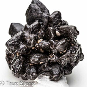 vtFV[Xg[ \ \̐ Tn ґz OEfBO AXeCh f