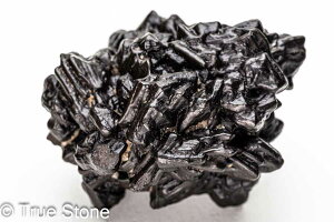 vtFV[Xg[ \ \̐ Tn ґz OEfBO AXeCh f