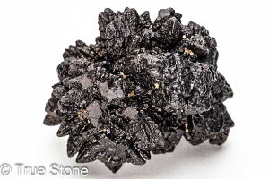 vtFV[Xg[ \ \̐ Tn ґz OEfBO AXeCh f