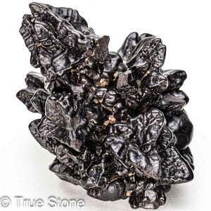 vtFV[Xg[ \ \̐ Tn ґz OEfBO AXeCh f