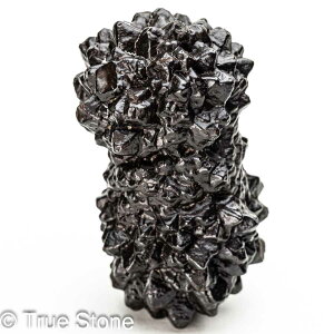 vtFV[Xg[ \ \̐ Tn ґz OEfBO AXeCh f