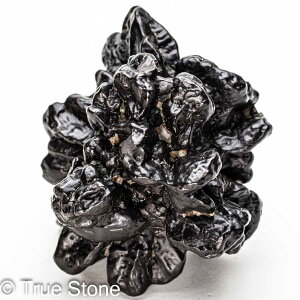 vtFV[Xg[ \ \̐ Tn ґz OEfBO AXeCh f