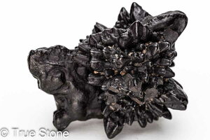 vtFV[Xg[ \ \̐ Tn ґz OEfBO AXeCh f