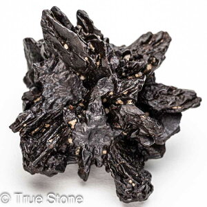 vtFV[Xg[ \ \̐ Tn ґz OEfBO AXeCh f